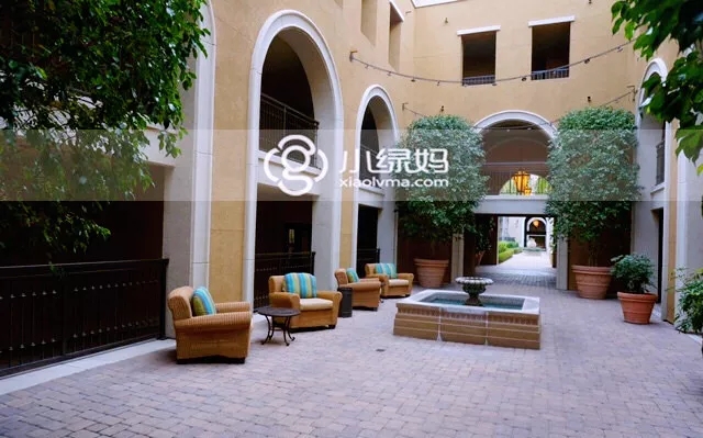 1630986685361143.jpg 640 (1).webp.jpg